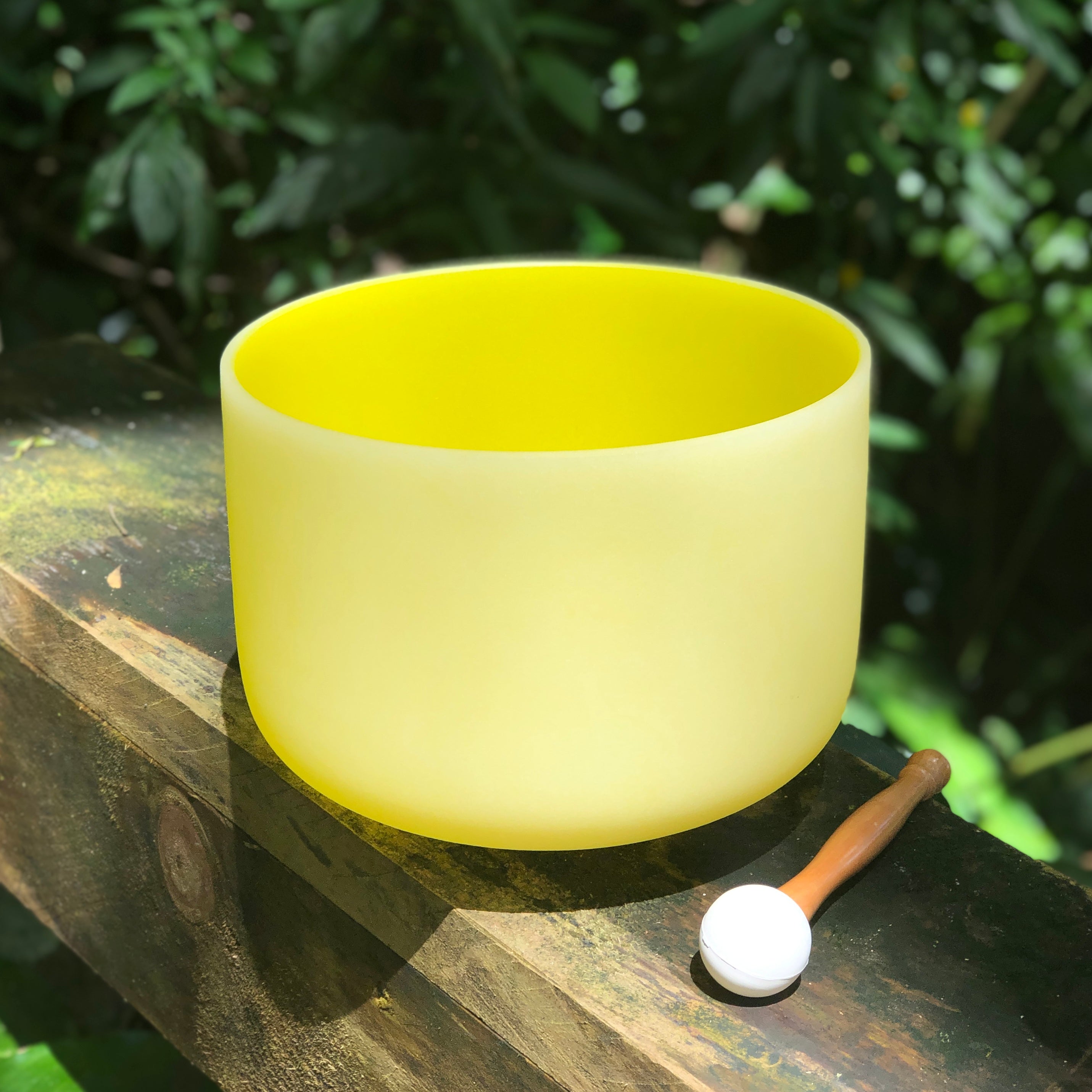 Solar Plexus Chakra 10" Coloured Crystal Singing Bowl