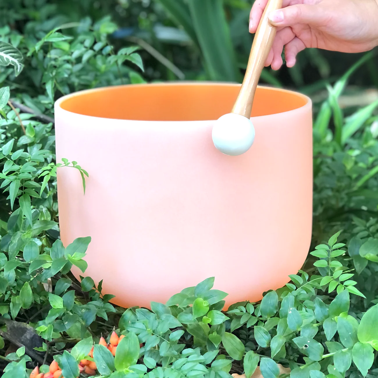 Sacral Chakra 11" Coloured Crystal Singing Bowl