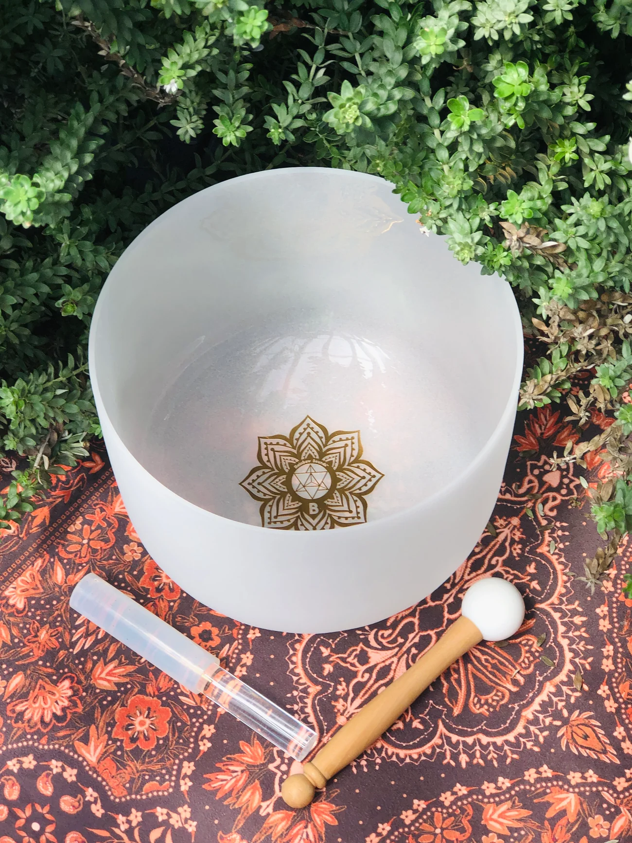 Earth Star Chakra 10" Crystal Singing Bowl